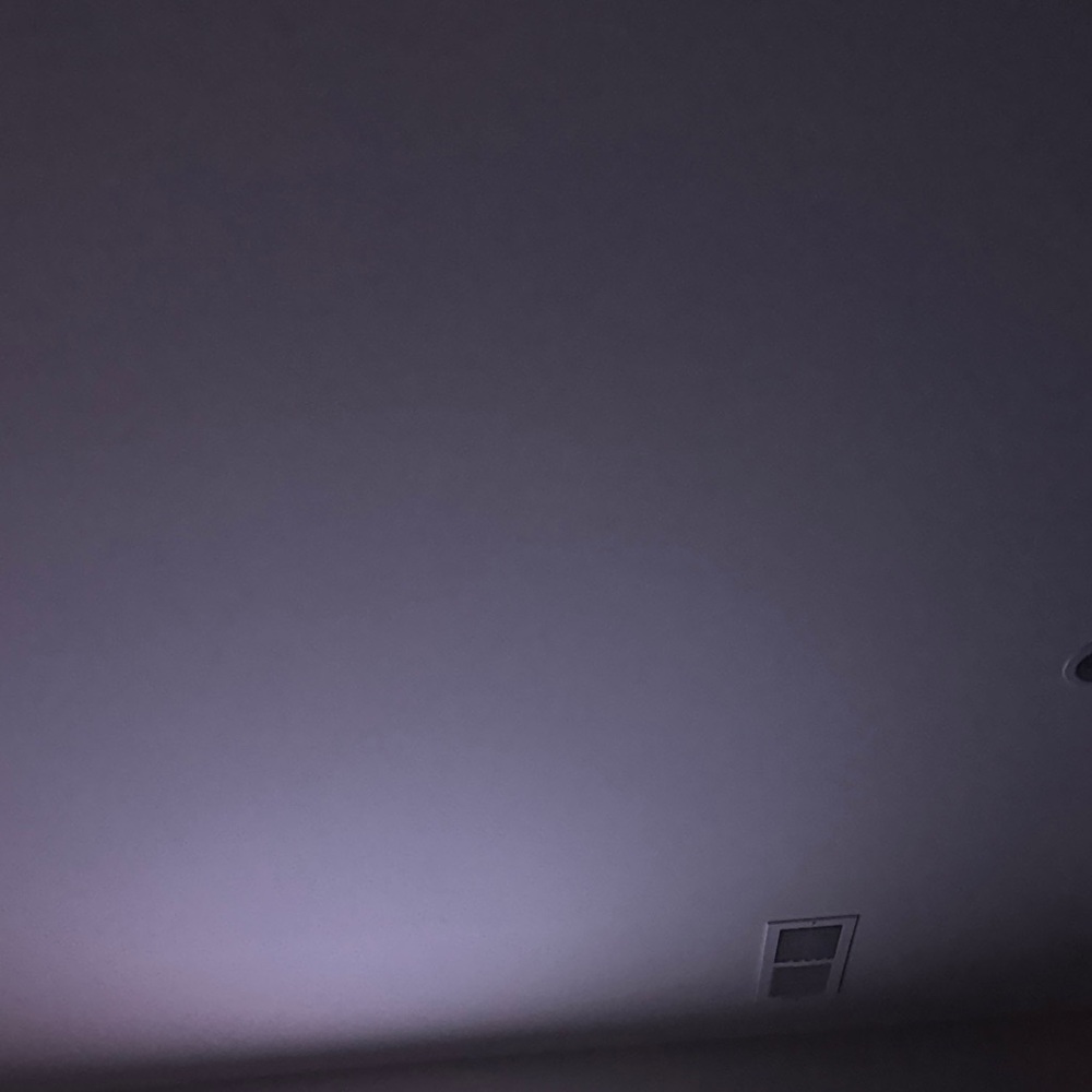 Azazie Purple Maxi Dress